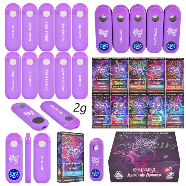 Wizard Trees 2g Disposable | Wholesale Empty Vape with Led Screen