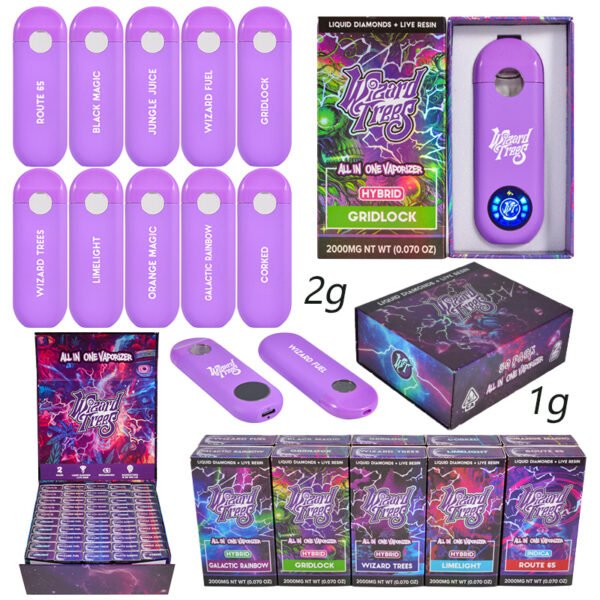 Europe Wizard Trees 1g Led Vape | Wholesale Hot Disposable with Display